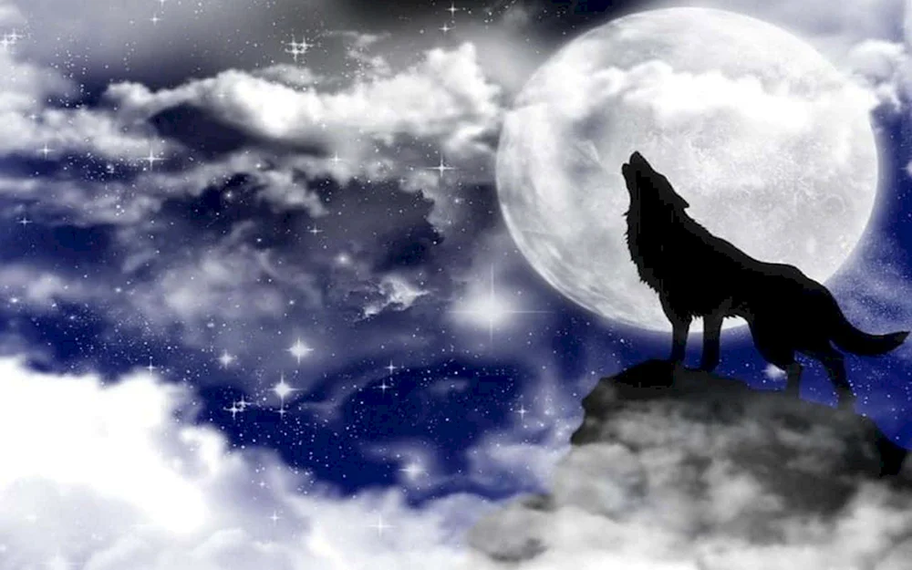 Wolf und der Mond