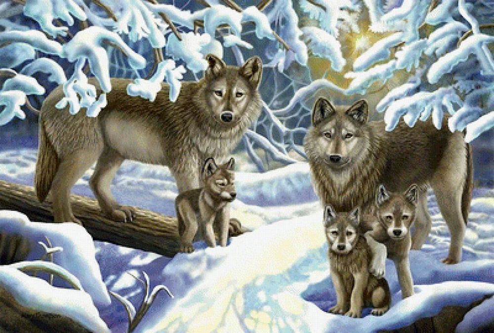 Wolf Wolf Wolf Wolf - Wolfshöhle