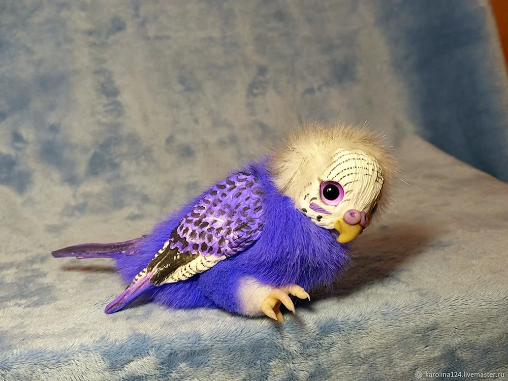 Violett gewellter Papagei