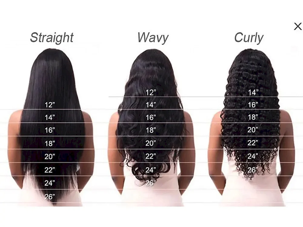 Kurzes mittellanges und langes Haar