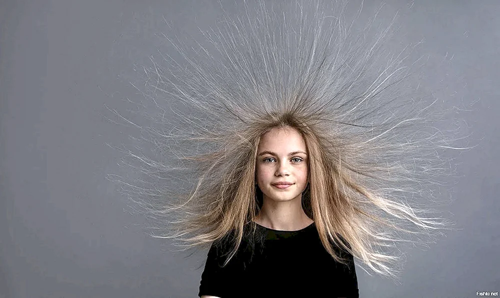 Haar elektrisiertHaar struppige FrisurHaar elektrisiertLustige Gesichter von MenschenFrauengesichterFrau mit elektrisiertem HaarKaren Nyberg