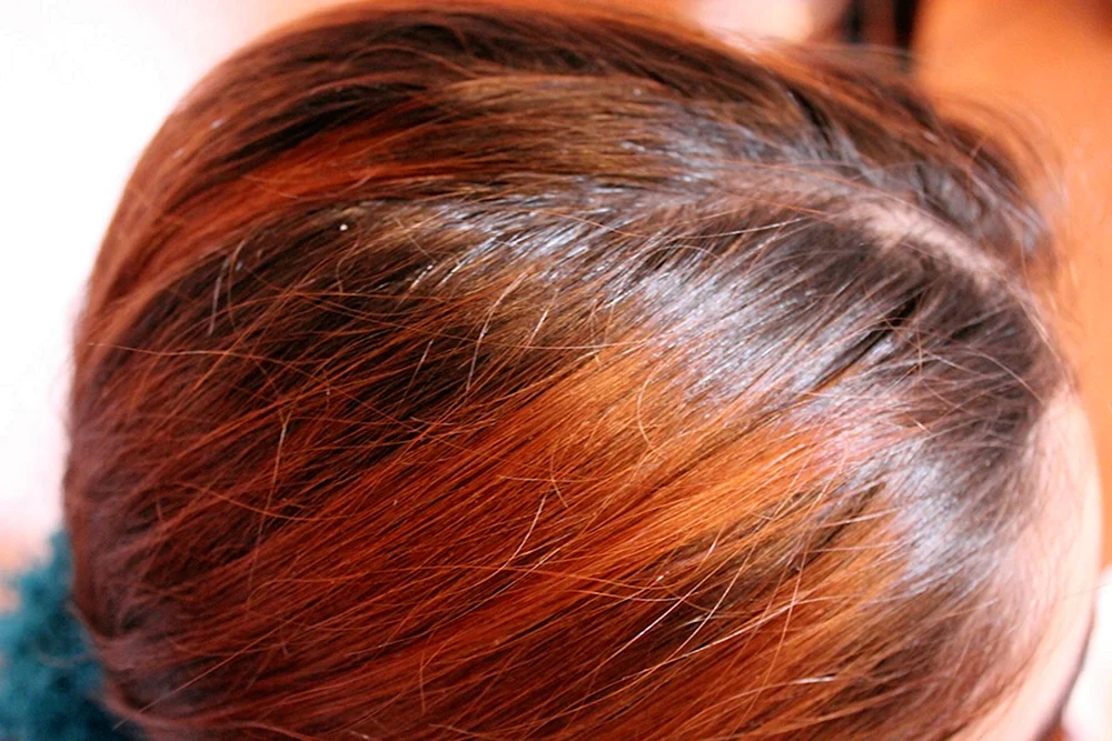 Hyna für Haare.
