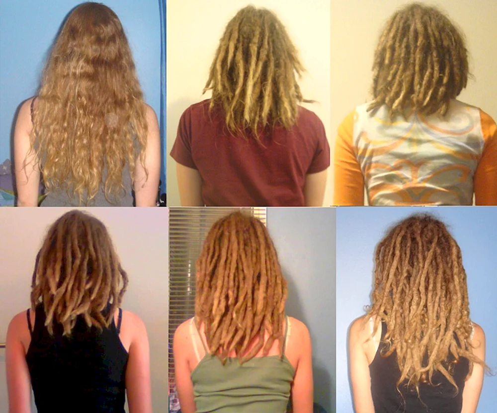 Afrohead de Dreadlocks