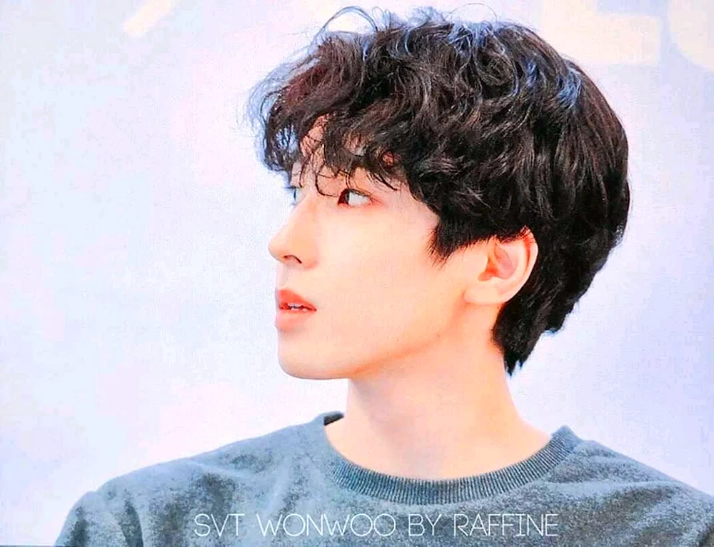 Wonu Seventeen