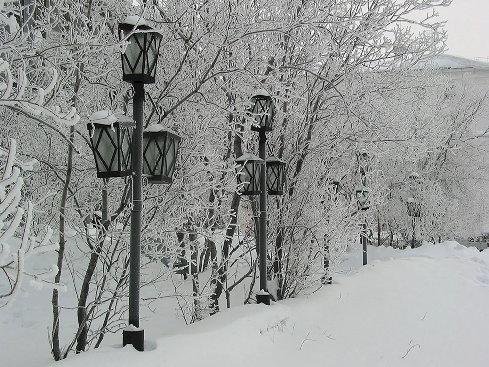 Vorkuta Winter