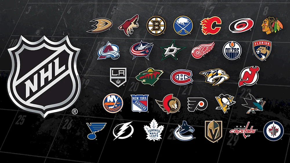 Washington Capitals Hockeyspieler