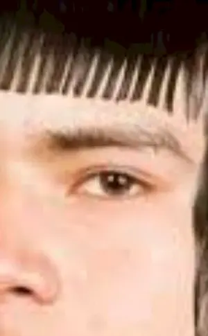 Wolf Hair
