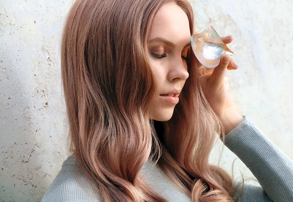 Wella 2019
