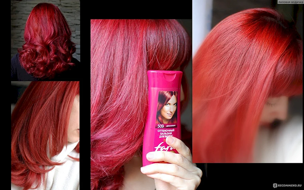 Fito Color