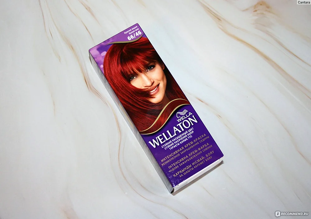 Wellaton 6646 rot kirschrot Wella