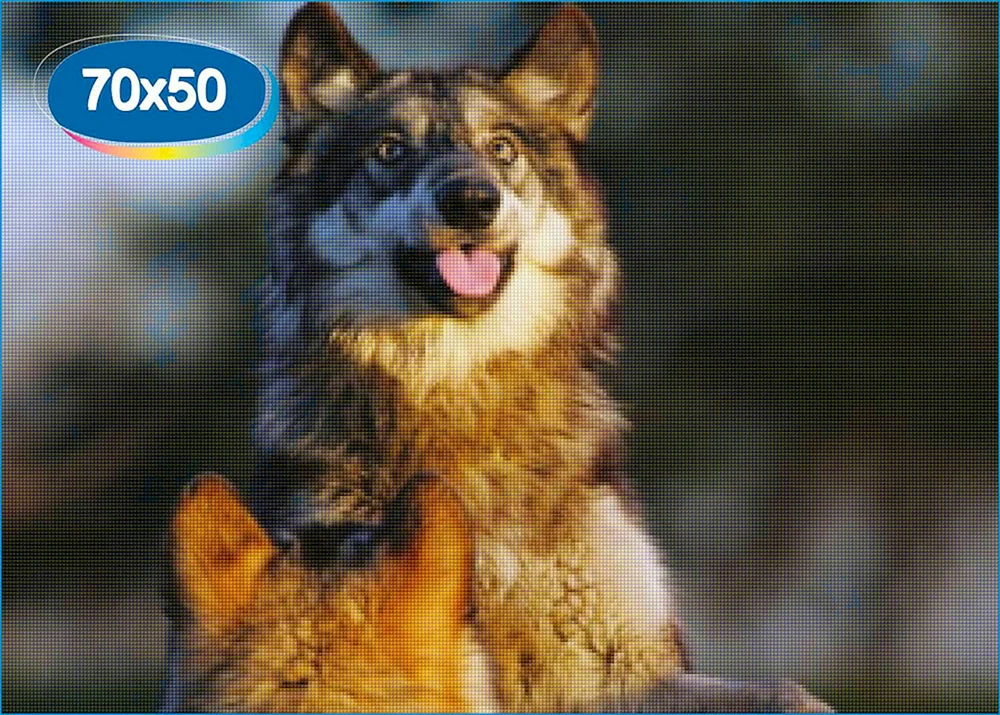 Wolf lächelnd