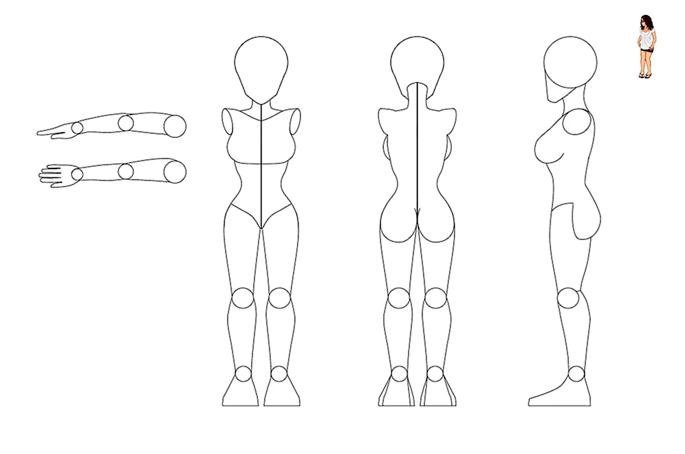 Referenz Anatomie Proportionen