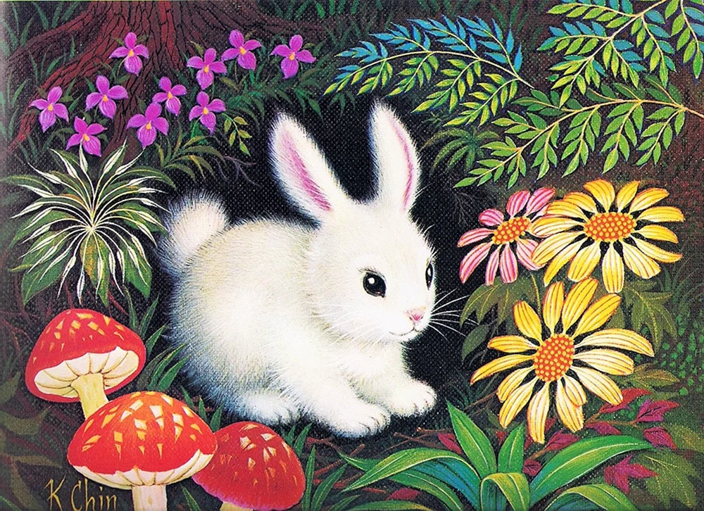 Hasenzeichnung