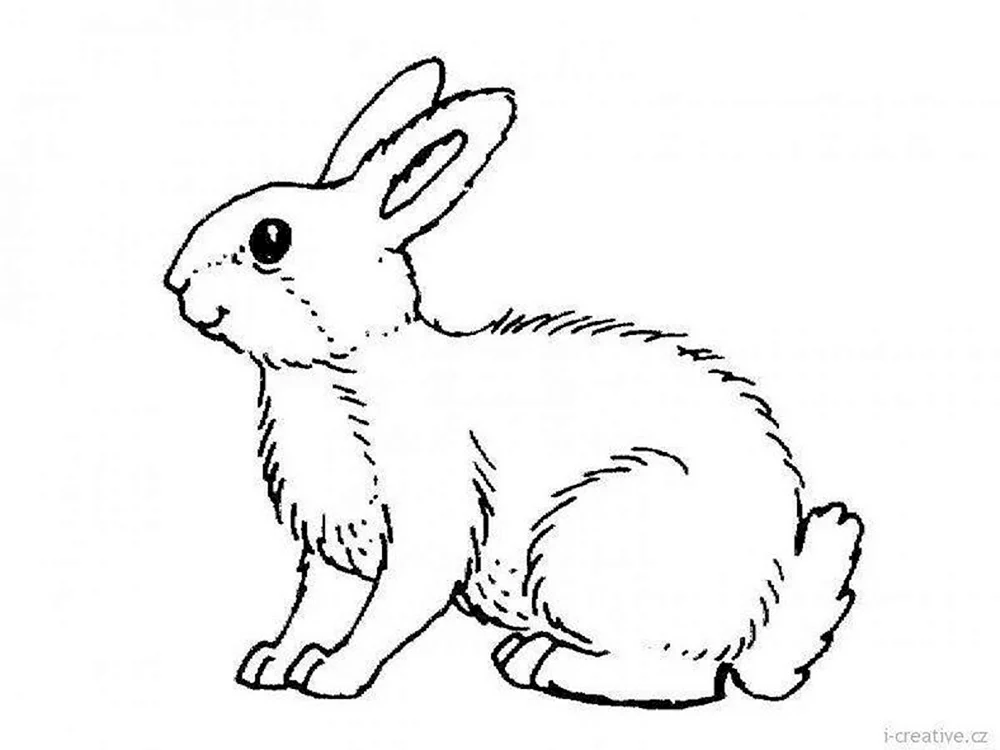 Hasenmalerei