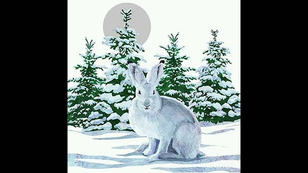 Häschen mit Hase