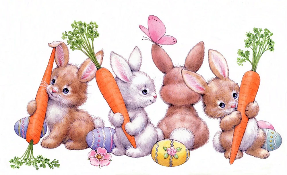 Hasen für Kinder Tierarzt Paul Krapf