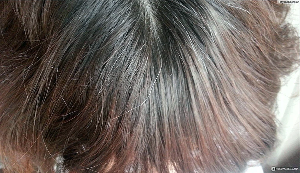 Henna zum Färben von grauem Haar