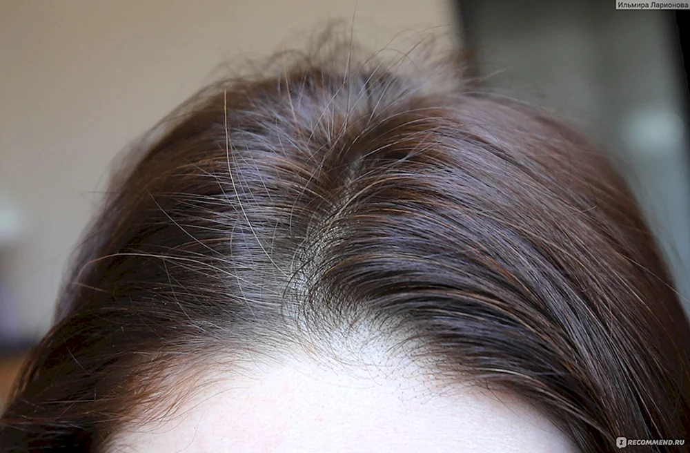 Haena Henna Haarfärbung für graues Haar
