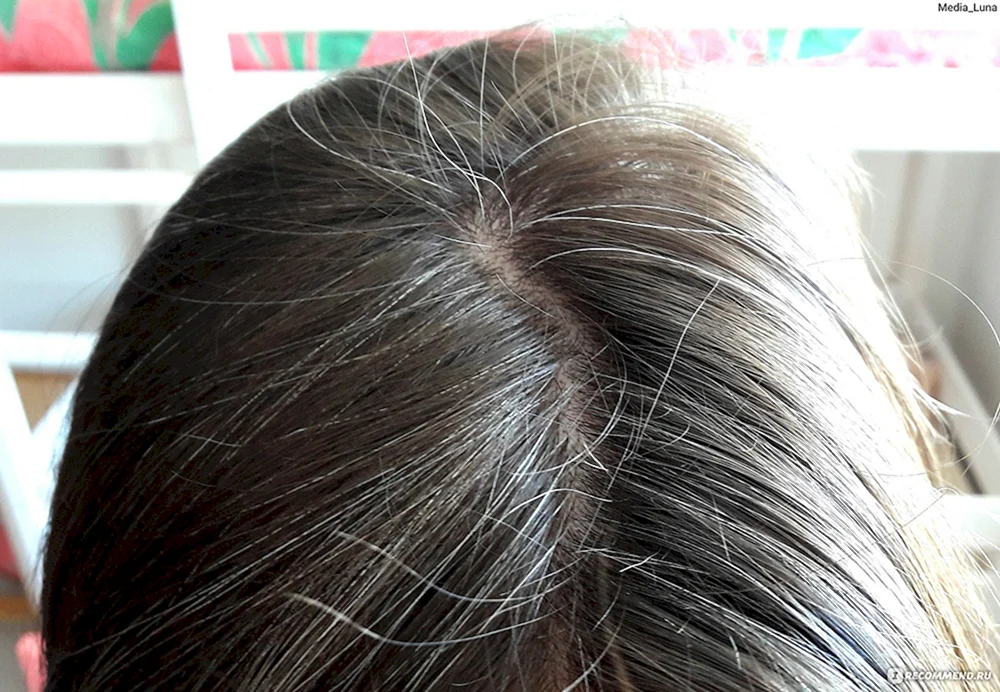 Schönheit graues Haar auf braunem Haar