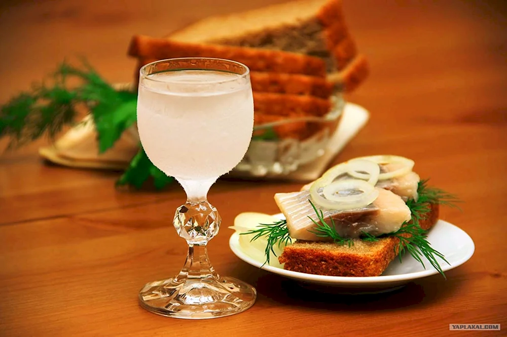 Wodka-Schnapsglas