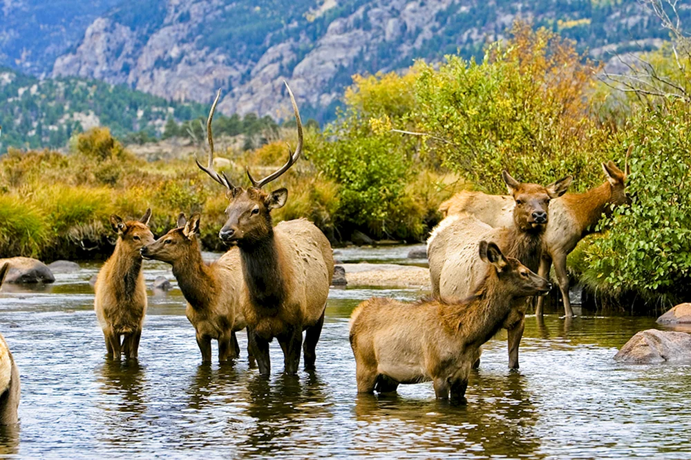 Nationalpark