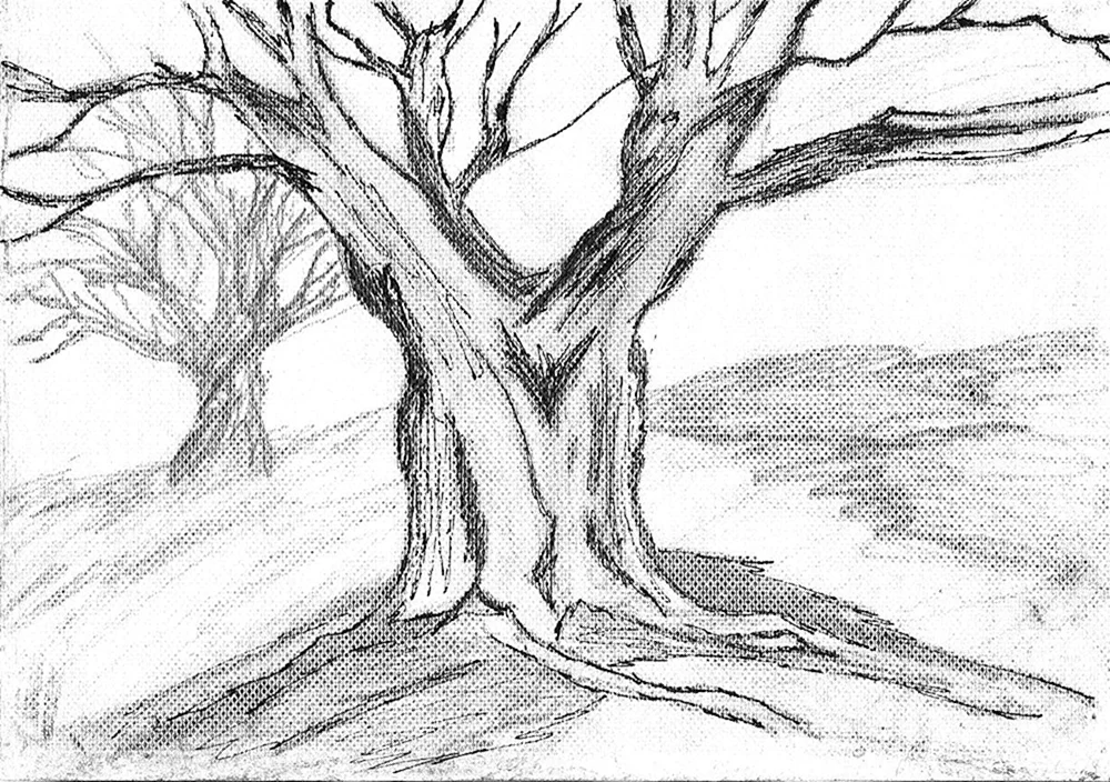 Baum mit Bleistift zeichnen