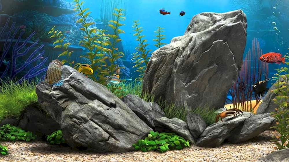 Aquascape Hintergrund für Aquarium Juwel 2 XL