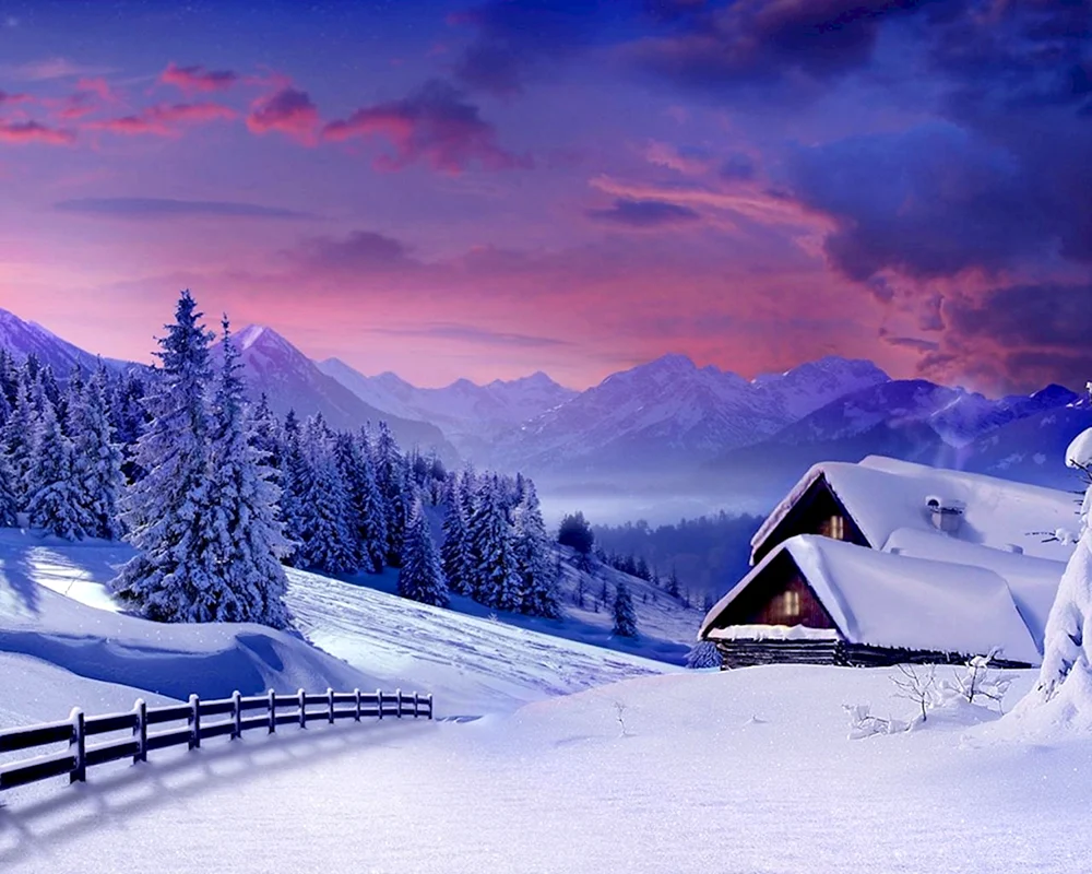 Winterwald