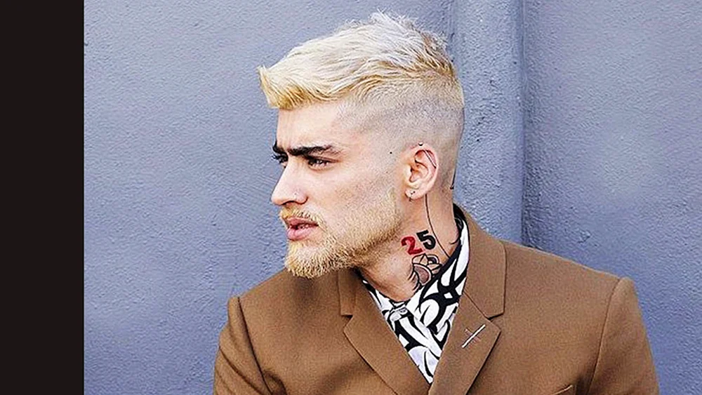 Zayn Malik