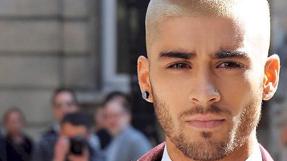 Zayn Malik und Maluma