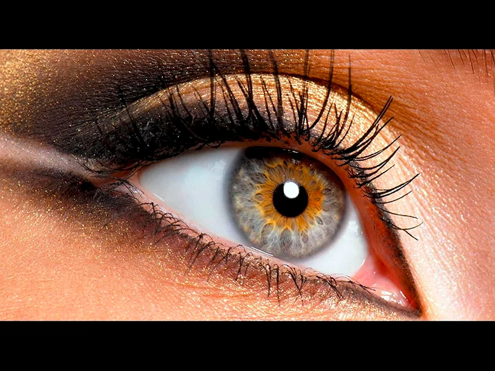 Makeup Smokey Eyes für braun grüne Augen
