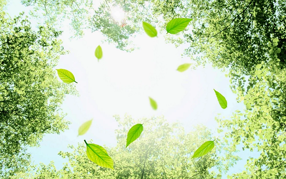 Hintergrund Natur