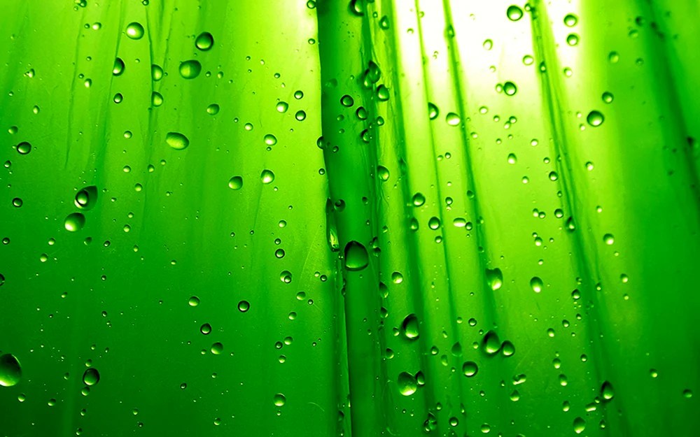 Grüner Hintergrund