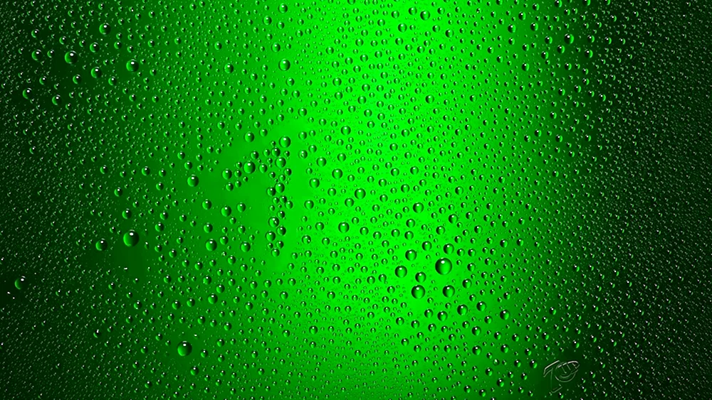 Grüner Hintergrund