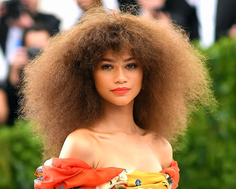 Zendaya Haut