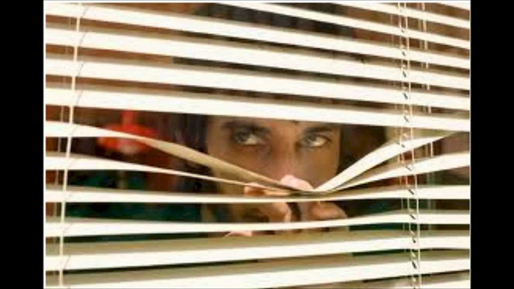 Blinds Girl