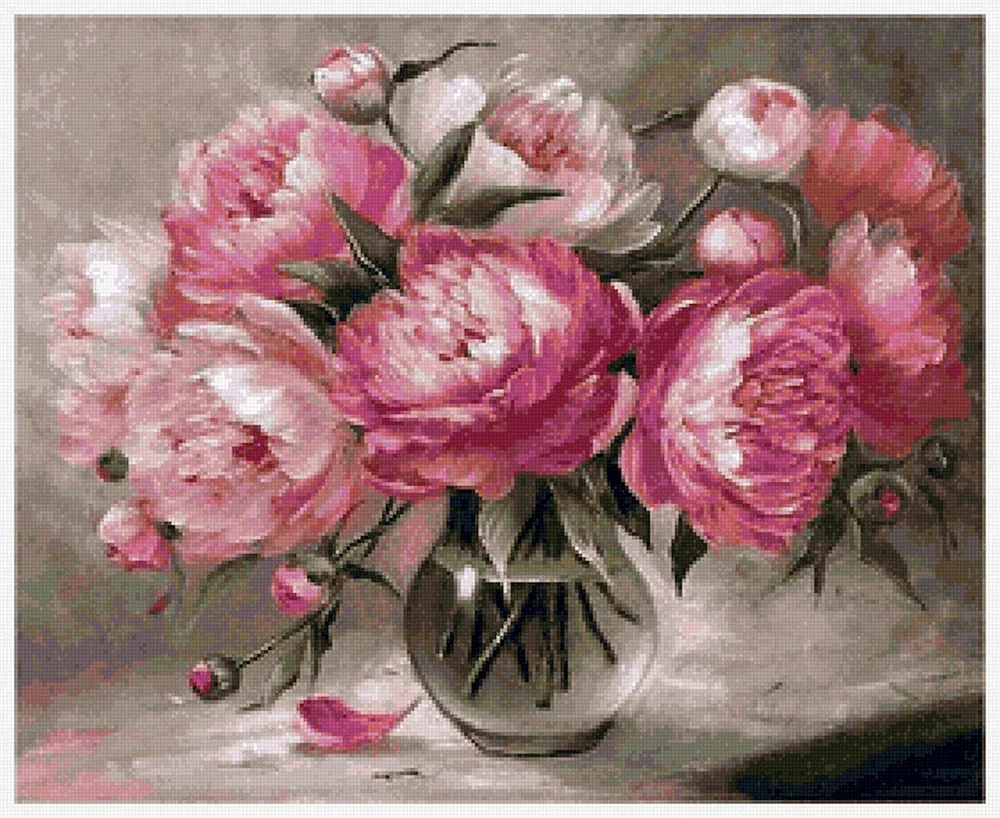 Arnoldus Bloomers Pfingstrosen