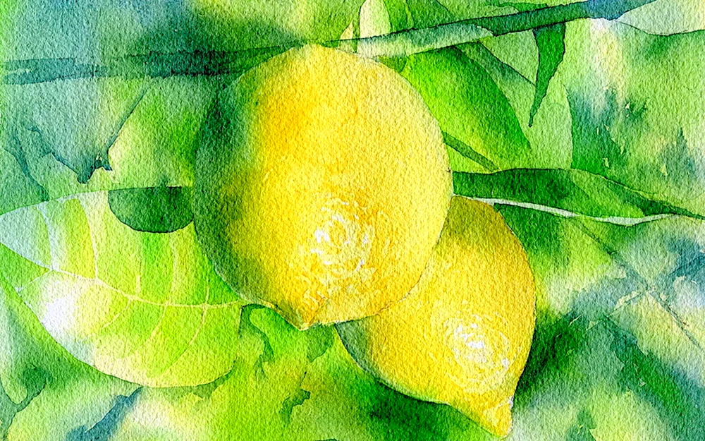Gelbgrüne Malerei in Aquarell