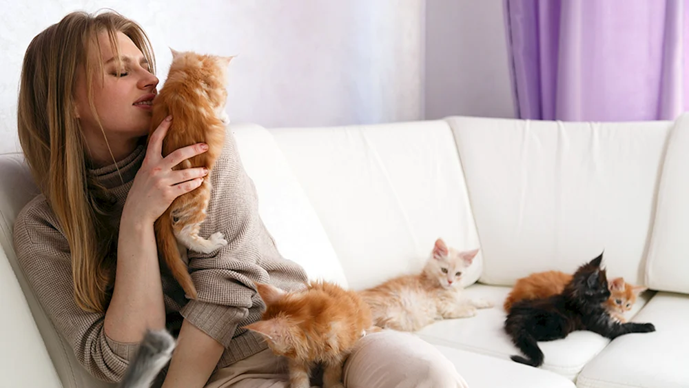 Frau kaufte eine Wohnung für ihre Katze