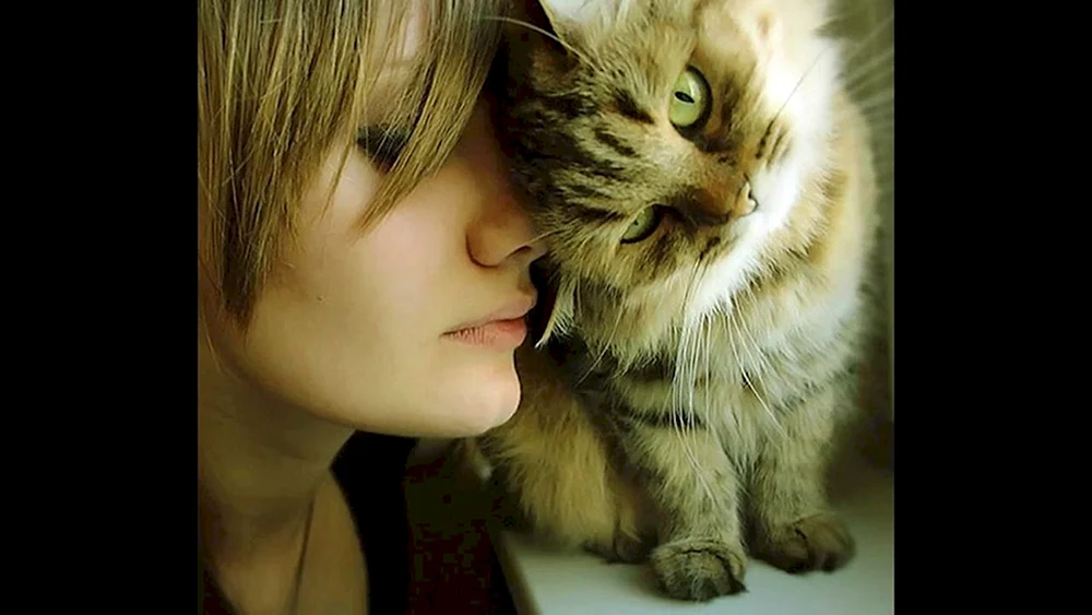 Frau Katze