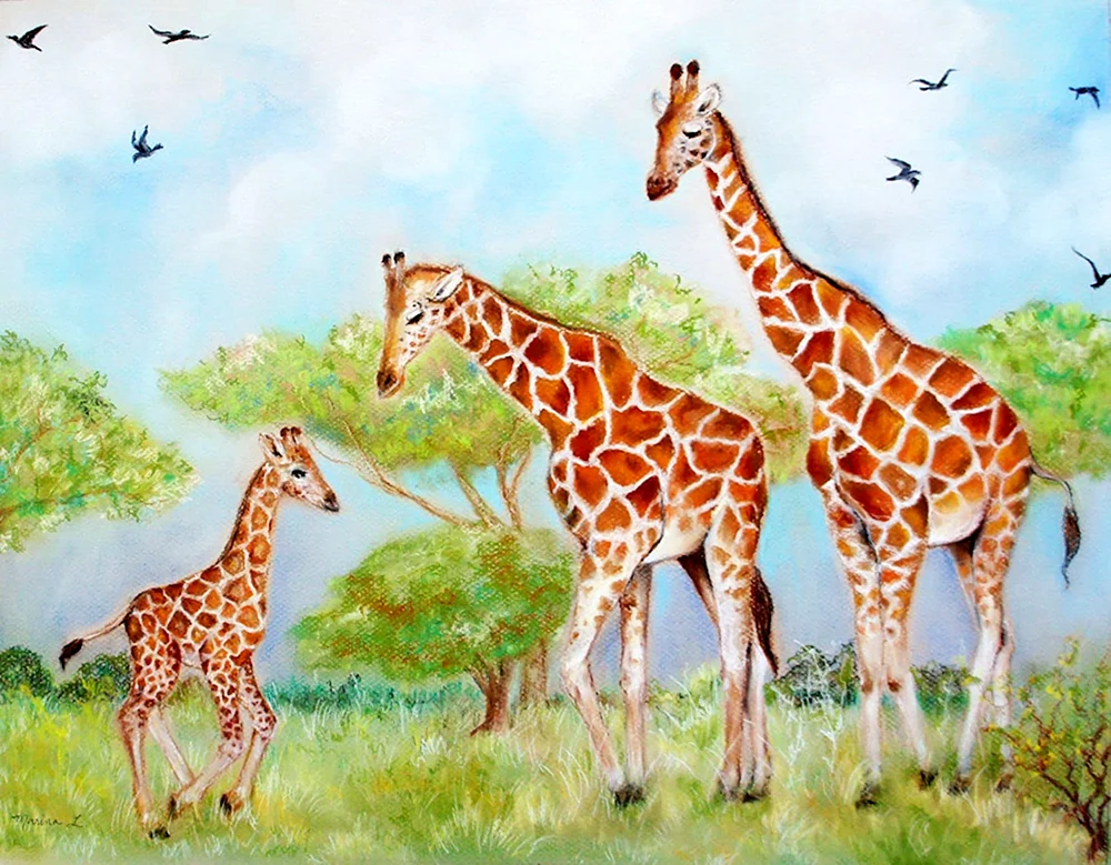 Giraffe Zeichnung