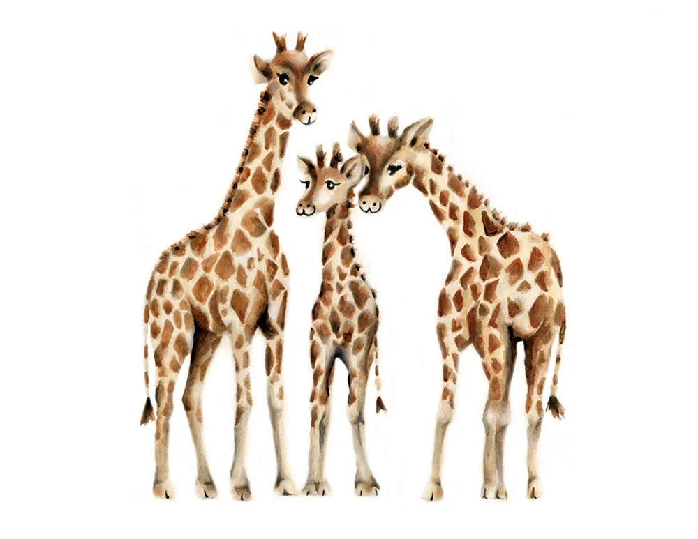 Giraffe für Kinder