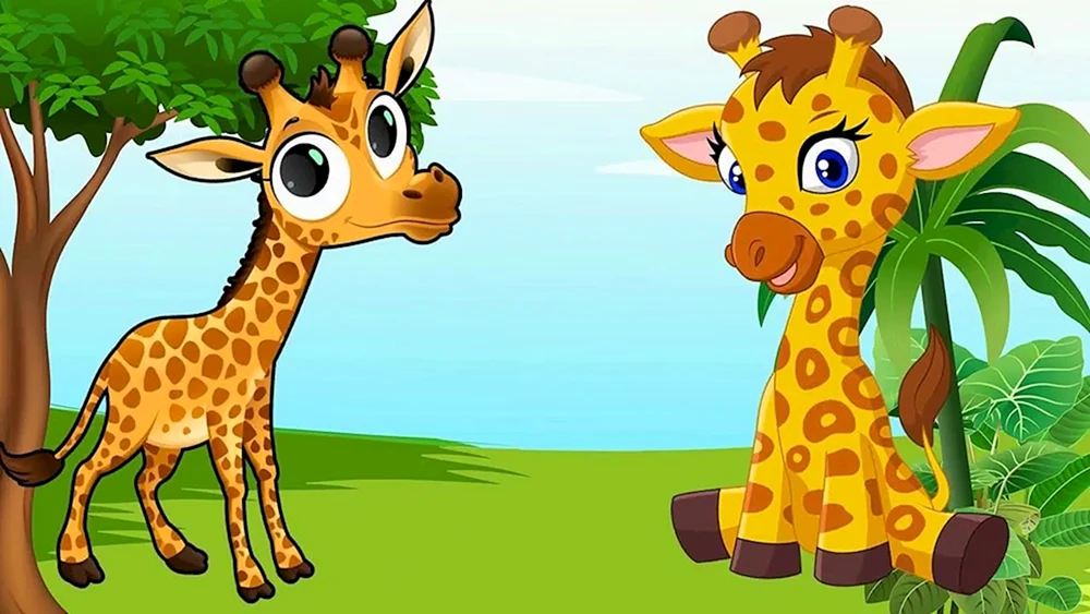 Giraffe.