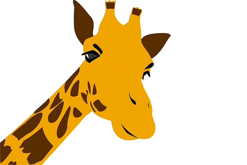 Giraffe für Kinder