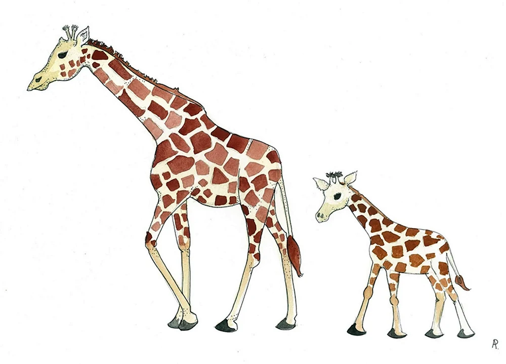 Giraffe Cartoon