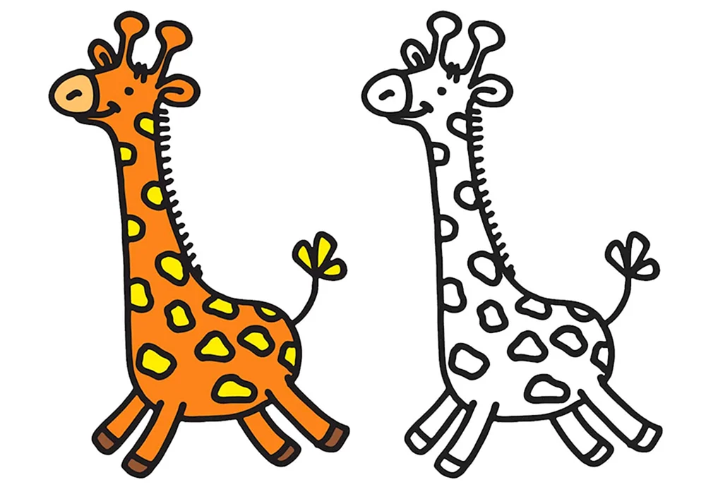 Giraffe Zeichnung