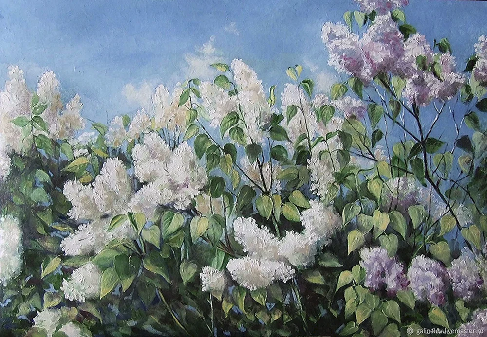 Malerei lilac Litovchenko
