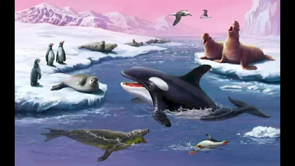 Pinguine in der Antarktis