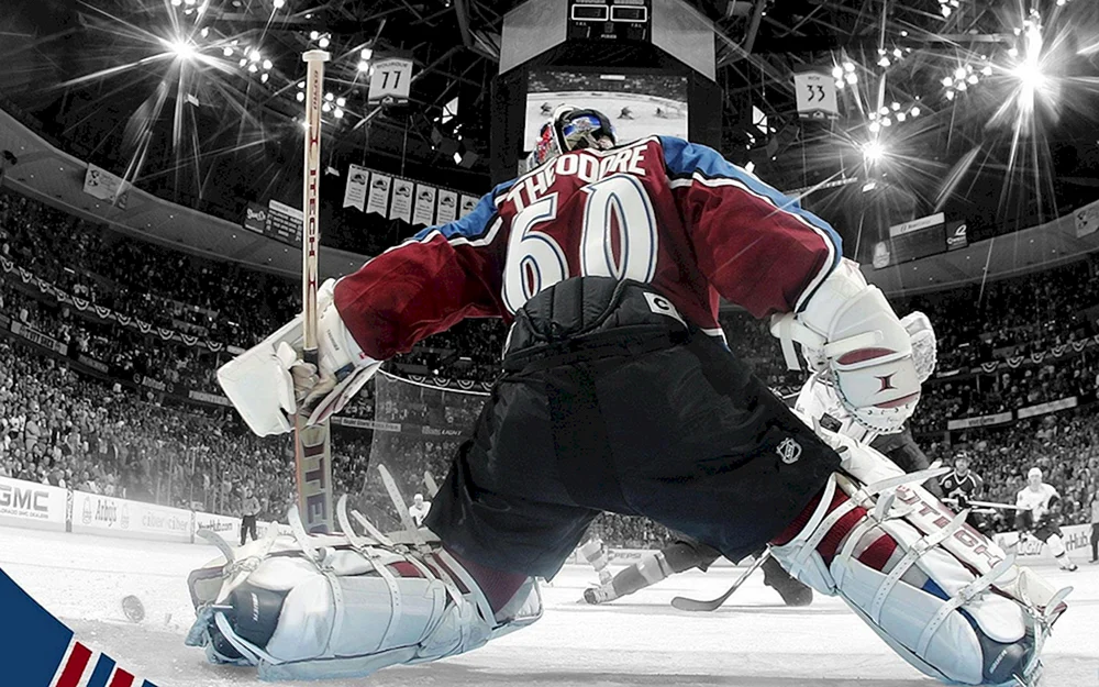 NHL Teamlogos