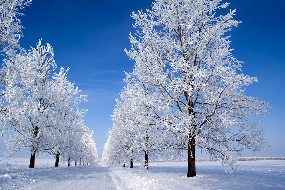 Winter Natur